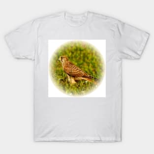 Kestrel T-Shirt